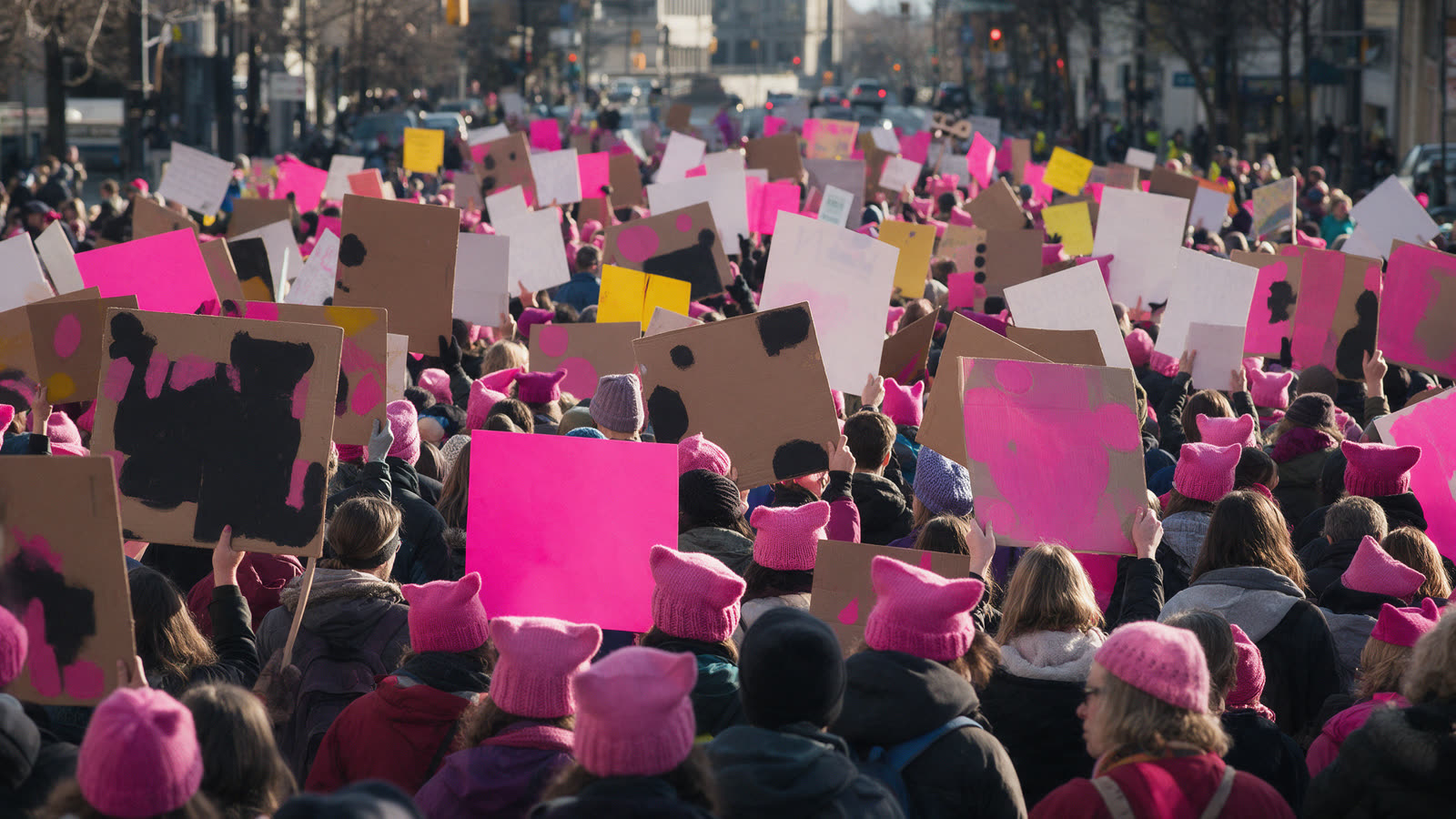 GrabByThePussy.com: political satire and protest domain Crowd at a daytime protest seen from behind with blank signs and pink knitted hats